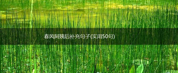 春风阿姨后补充句子(实用50句),第1张
