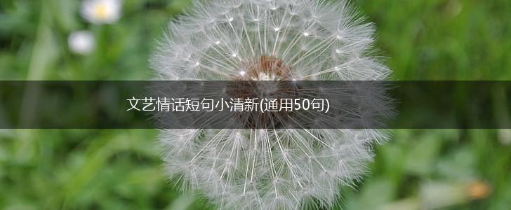 文艺情话短句小清新(通用50句),第1张