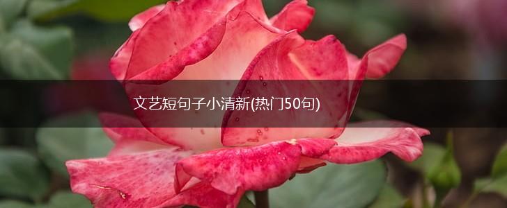 文艺短句子小清新(热门50句),第1张