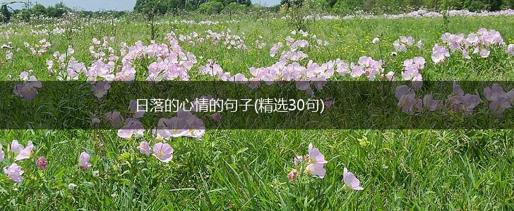 日落的心情的句子(精选30句),第1张