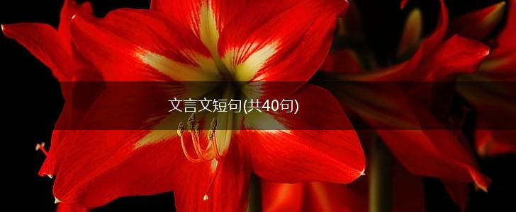 文言文短句(共40句),第1张