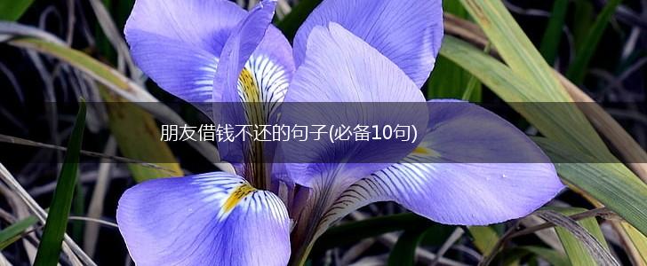 朋友借钱不还的句子(必备10句),第1张