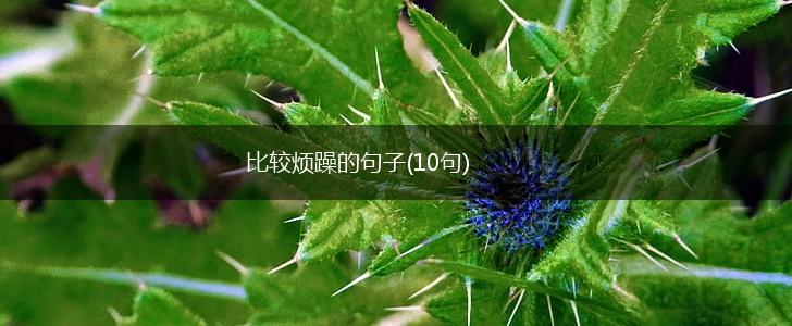 比较烦躁的句子(10句),第1张