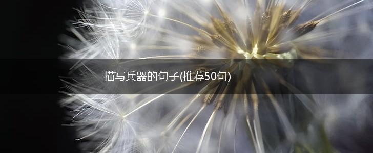 描写兵器的句子(推荐50句),第1张