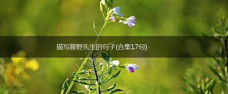 描写藤野先生的句子(合集17句),第1张