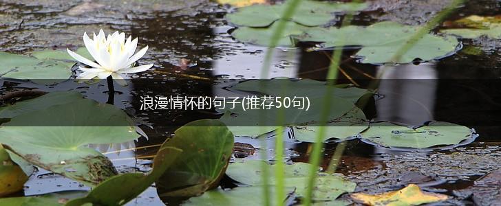 浪漫情怀的句子(推荐50句),第1张