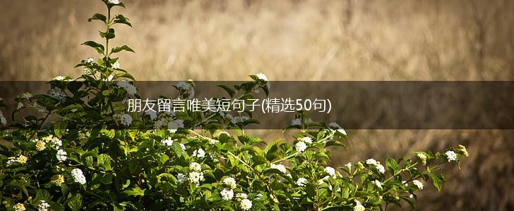 朋友留言唯美短句子(精选50句),第1张