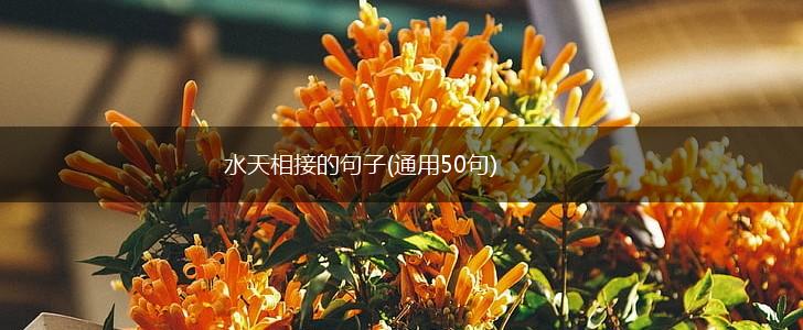 水天相接的句子(通用50句),第1张