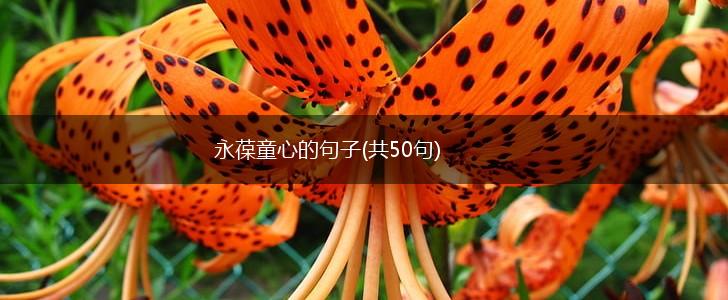 永葆童心的句子(共50句),第1张