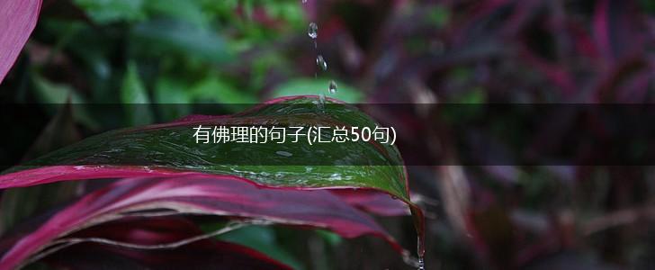 有佛理的句子(汇总50句),第1张