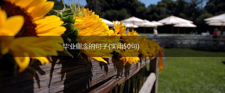毕业留念的句子(实用50句),第1张