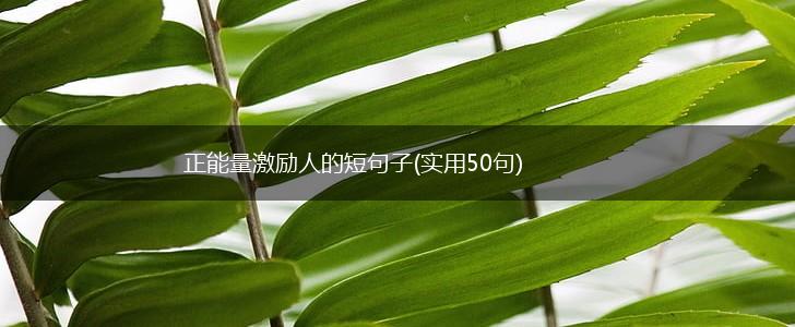 正能量激励人的短句子(实用50句),第1张