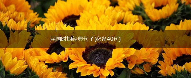 民国时期经典句子(必备40句),第1张
