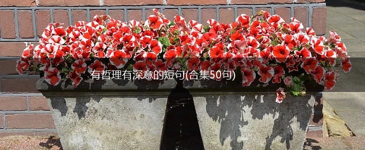 有哲理有深意的短句(合集50句),第1张
