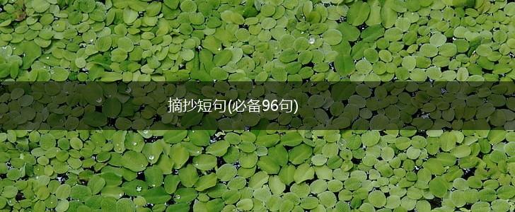 摘抄短句(必备96句),第1张