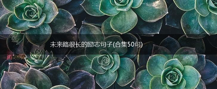 未来路很长的励志句子(合集50句),第1张