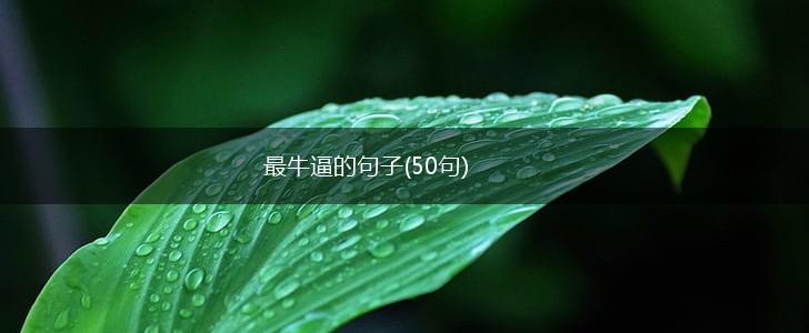 最牛逼的句子(50句),第1张