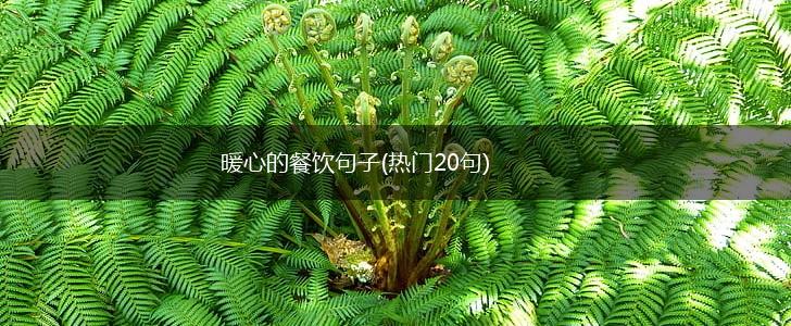 暖心的餐饮句子(热门20句),第1张