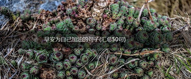 早安为自己加油的句子(汇总50句),第1张