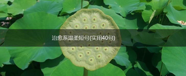 治愈系温柔短句(实用40句),第1张