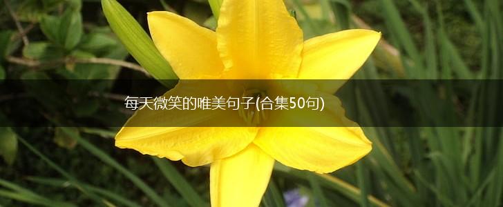 每天微笑的唯美句子(合集50句),第1张
