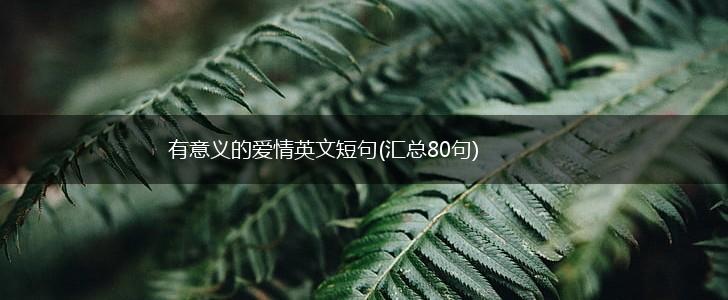 有意义的爱情英文短句(汇总80句),第1张
