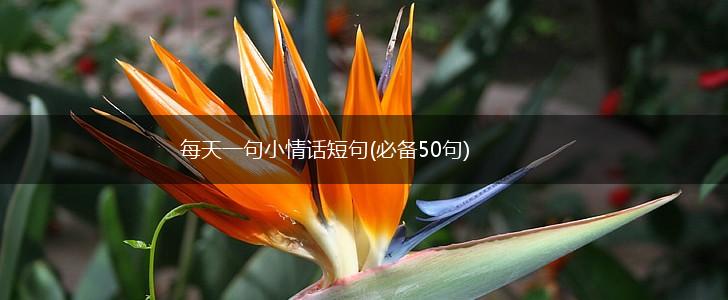 每天一句小情话短句(必备50句),第1张