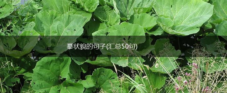摹状貌的句子(汇总50句),第1张