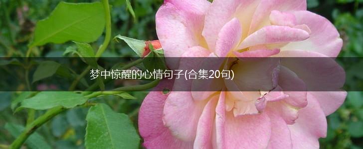 梦中惊醒的心情句子(合集20句),第1张