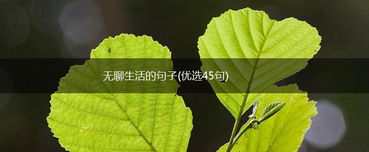 无聊生活的句子(优选45句),第1张