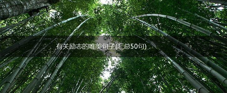 有关励志的唯美句子(汇总50句),第1张