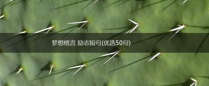 梦想格言 励志短句(优选50句),第1张
