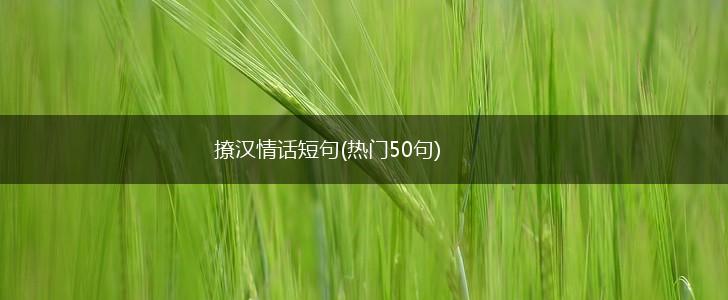 撩汉情话短句(热门50句),第1张