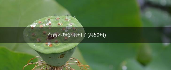 有苦不想说的句子(共50句),第1张