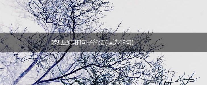 梦想励志的句子简洁(精选49句),第1张