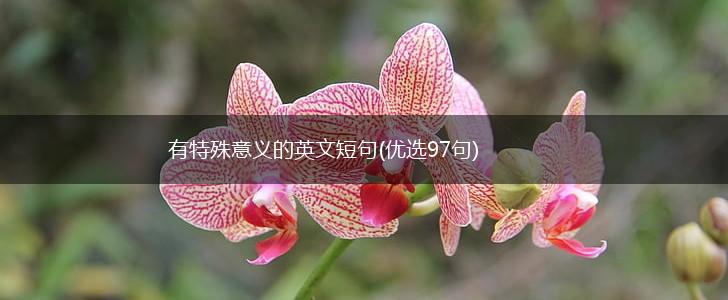 有特殊意义的英文短句(优选97句),第1张