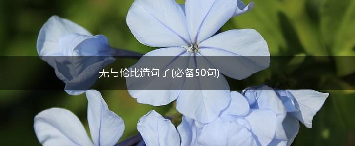 无与伦比造句子(必备50句),第1张