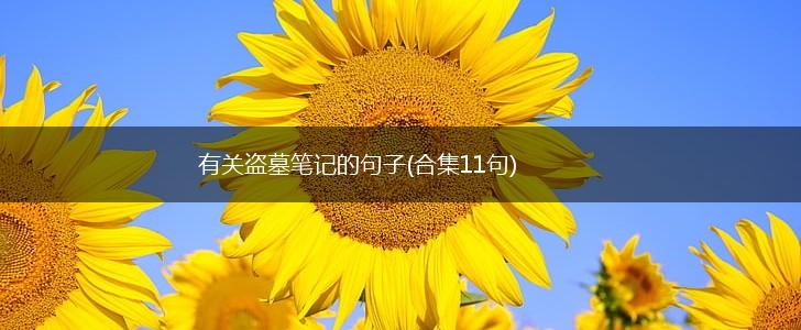 有关盗墓笔记的句子(合集11句),第1张