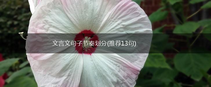 文言文句子节奏划分(推荐13句),第1张