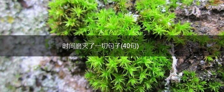 时间磨灭了一切句子(40句),第1张
