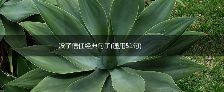 没了信任经典句子(通用51句),第1张