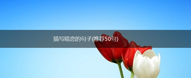 描写暗恋的句子(推荐50句),第1张