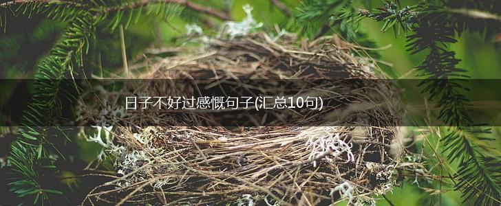 日子不好过感慨句子(汇总10句),第1张
