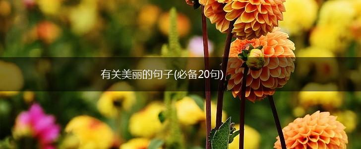 有关美丽的句子(必备20句),第1张