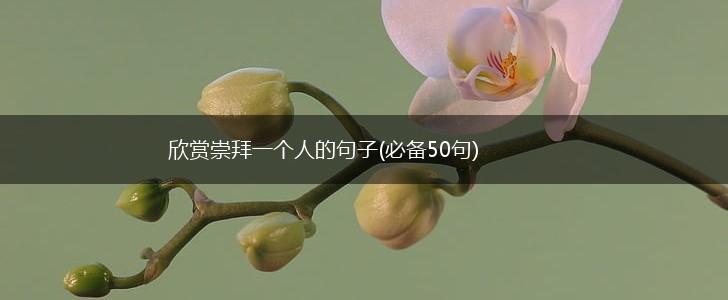 欣赏崇拜一个人的句子(必备50句),第1张