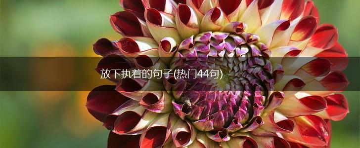 放下执着的句子(热门44句),第1张