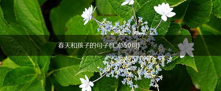 春天和孩子的句子(汇总50句),第1张