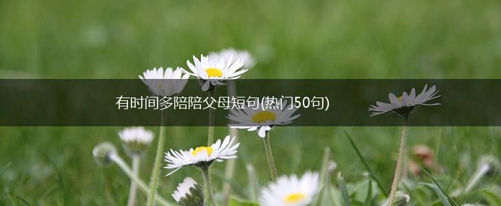 有时间多陪陪父母短句(热门50句),第1张