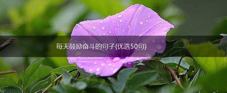 每天鼓励奋斗的句子(优选50句),第1张