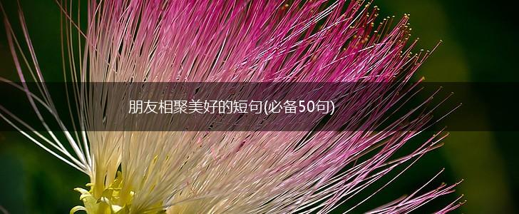 朋友相聚美好的短句(必备50句),第1张